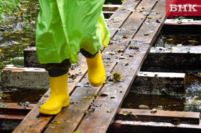 В Коми прогнозируют дожди и грозы