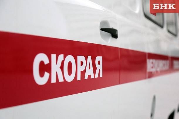 В Удорском районе при столкновении с деревом погиб водитель