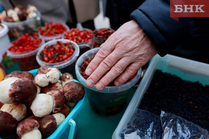 Роспотребнадзор не нашел радиоактивных продуктов в Коми