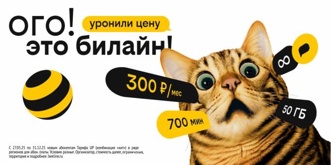 Билайн снизил цены для жителей Сыктывкара при новом подключении