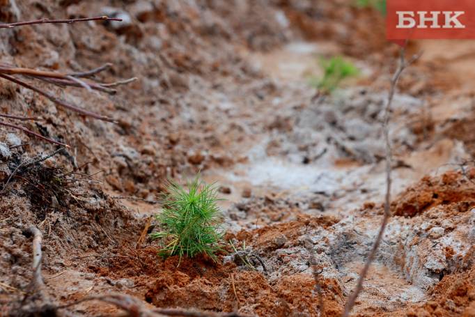 BOB_1300.jpg BOB_1300.jpg