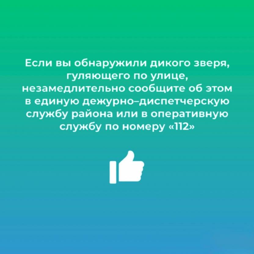 4SaZwjQK2pYVeBkkX8yRPUZ43Q2Z7KWm1mEpSUnnUETEP3fge_Nq_1l4wgxCUW2yxnz1eZwFF8pfPkcMoo_M1TvA.jpg 4SaZwjQK2pYVeBkkX8yRPUZ43Q2Z7KWm1mEpSUnnUETEP3fge_Nq_1l4wgxCUW2yxnz1eZwFF8pfPkcMoo_M1TvA.jpg