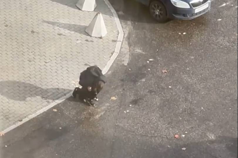 skrin2.jpg skrin2.jpg