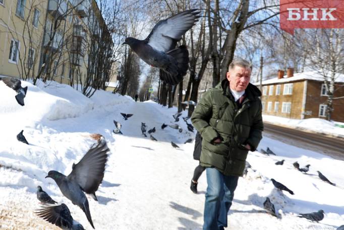 В Коми сохраняется теплая погода