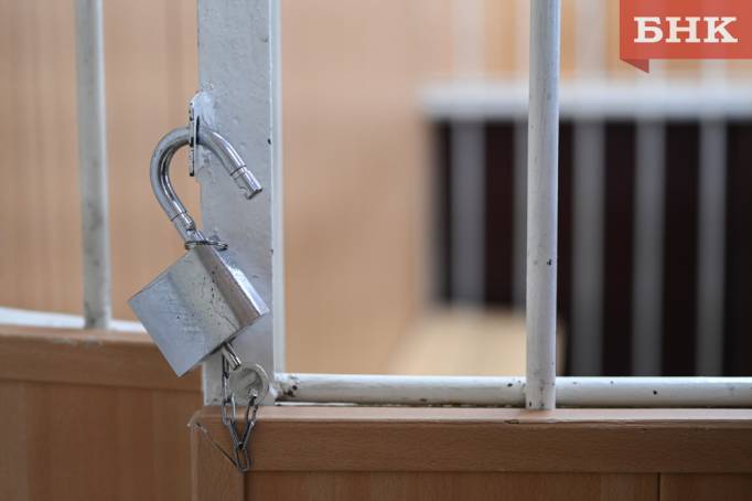 Подростка из Удоры арестовали по обвинению в подготовке массового убийства в школе