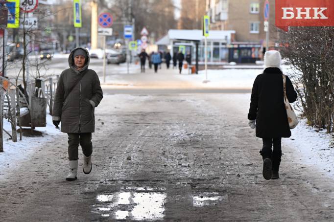 Мокрый снег и порывистый ветер прогнозируют в Коми