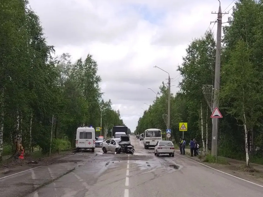 В Печоре пьяный водитель врезался в дерево