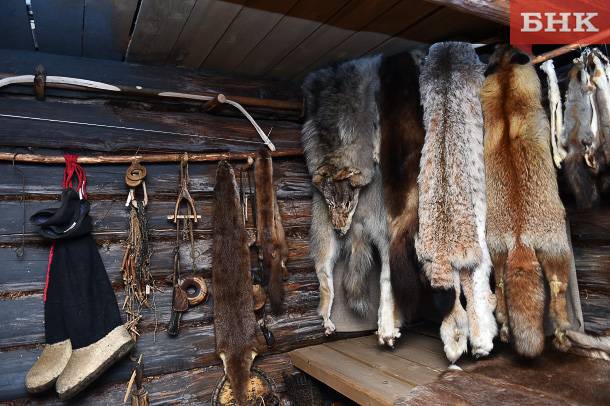 Охотники Коми получили вознаграждения за добычу 142 волков