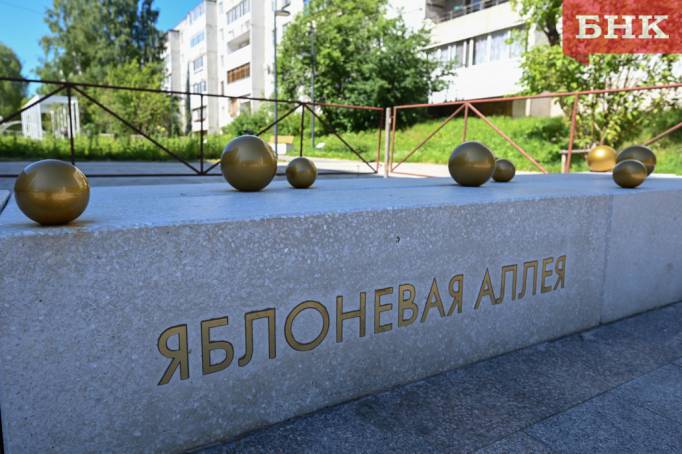 На Яблоневую аллею в Сыктывкаре вернули «золотые яблоки»