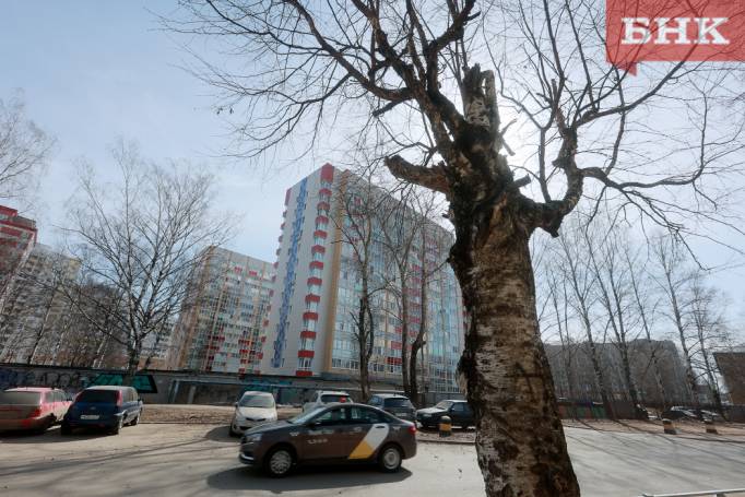 На юге Коми обещают до 16 градусов тепла