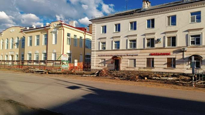 В столице Коми вырубили деревья ради сохранения нового тротуара