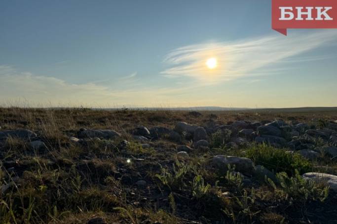 Воркутинец нашел в тундре пакет с оружием