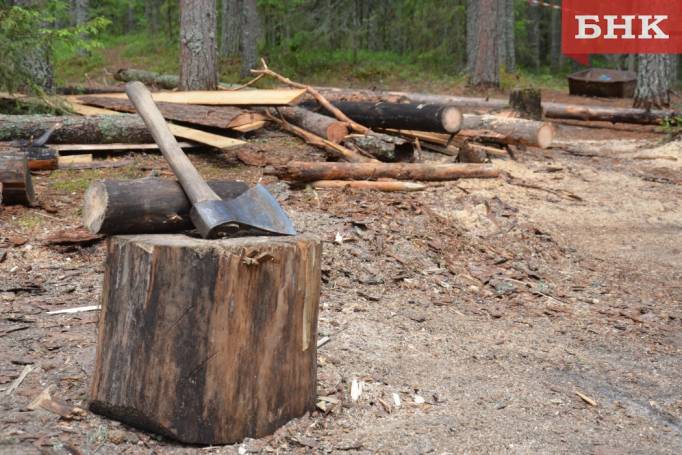 В Коми ущерб от незаконных рубок составил 4,6 миллиона рублей
