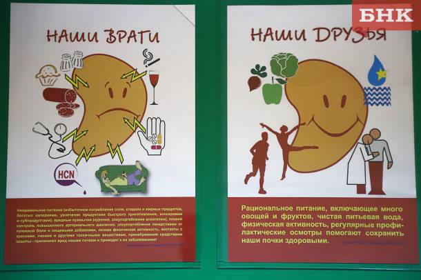 Врач назвала три причины, которые могут незаметно разрушить почки