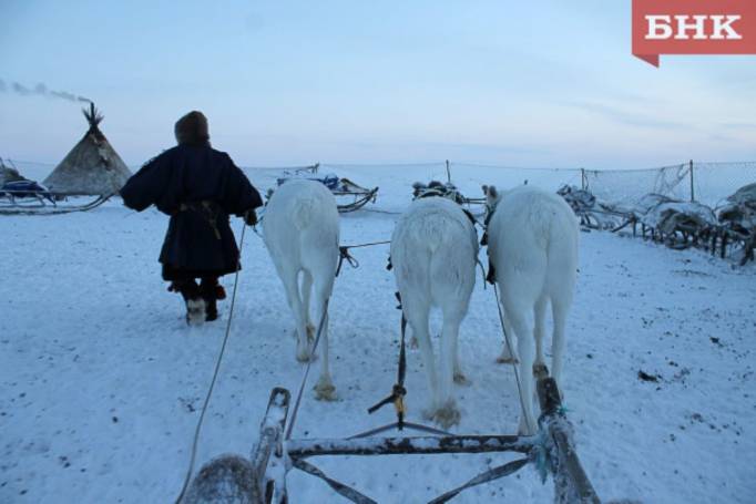 Оставившая оленевода без денег жительница Усть-Цильмы получила штраф