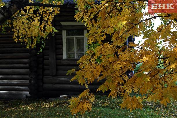 Последний день дета в Коми будет теплым и сухим