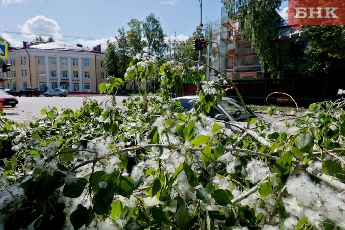 На погоду в Коми окажет влияние арктический воздух