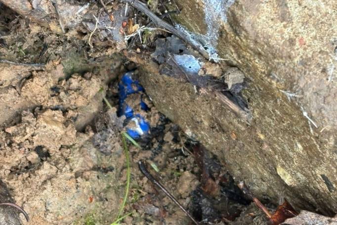 nar5-800x600.jpg nar5-800x600.jpg