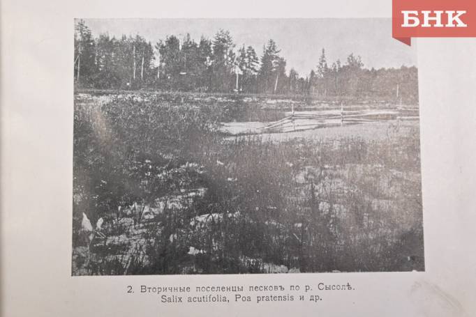 Z06_0041.jpg Z06_0041.jpg