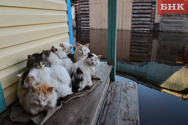 Где в Коми продолжается рост уровня воды в реках