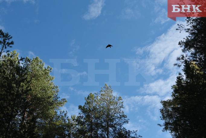 В Коми создали первые охранные зоны для памятников природы