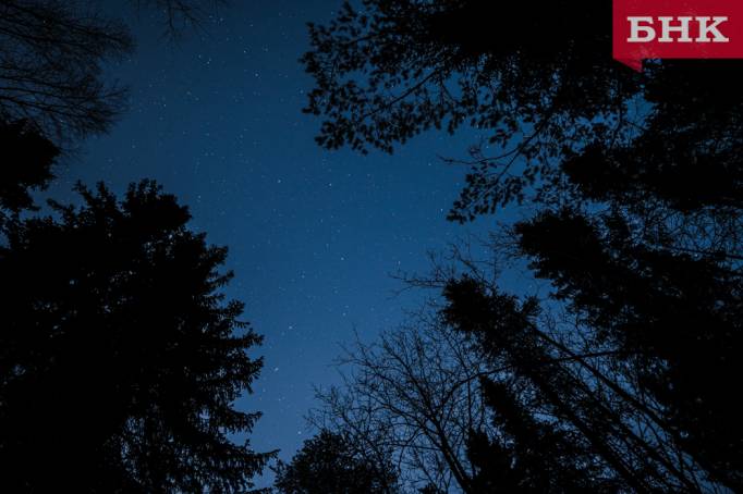 Ученый подсказал, как «поймать» падающие звезды