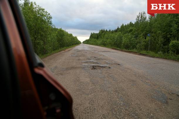 В Прилузье на дороге подобрали одинокого лосенка