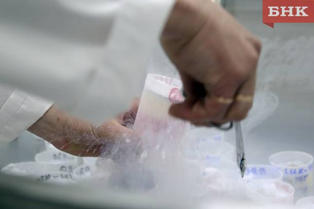 В Минсельхозе Коми определили стоимость нового комплекса для ветлаборатории