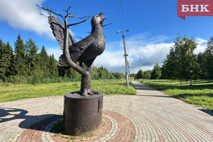 «Это в Коми»: северная птица счастья