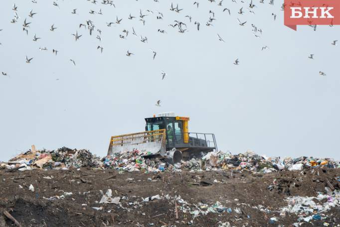 В Коми планируют создать три предприятия по сортировке мусора
