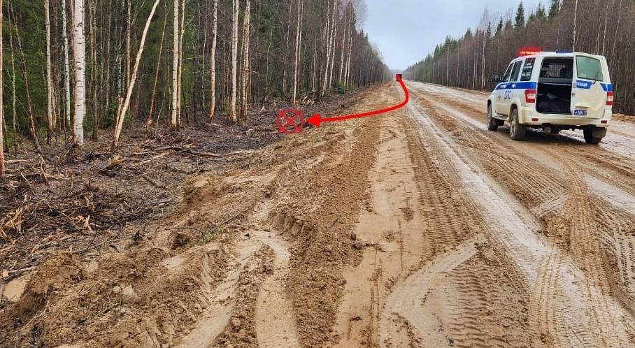 Мальчик и женщина пострадали при опрокидывании «Лады» в Усть-Куломском районе