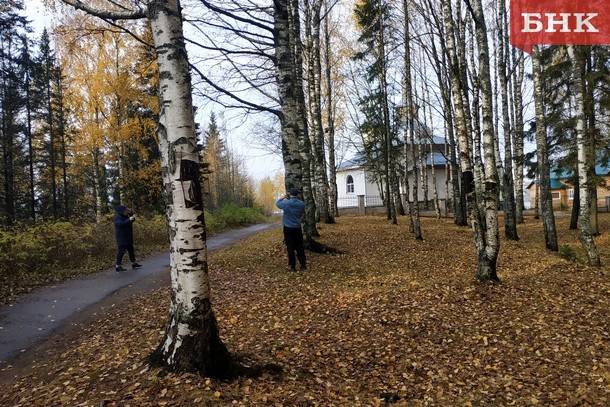 Какая погода будет в Коми 13 октября