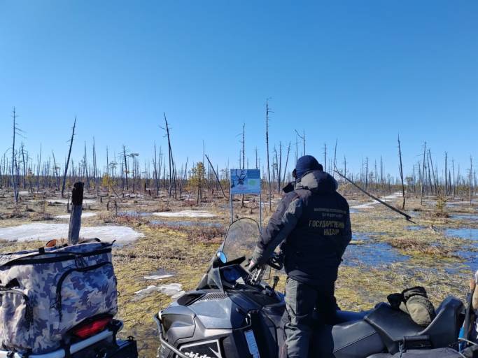 В сосногорском заказнике «Дзервад» обнаружили редких животных