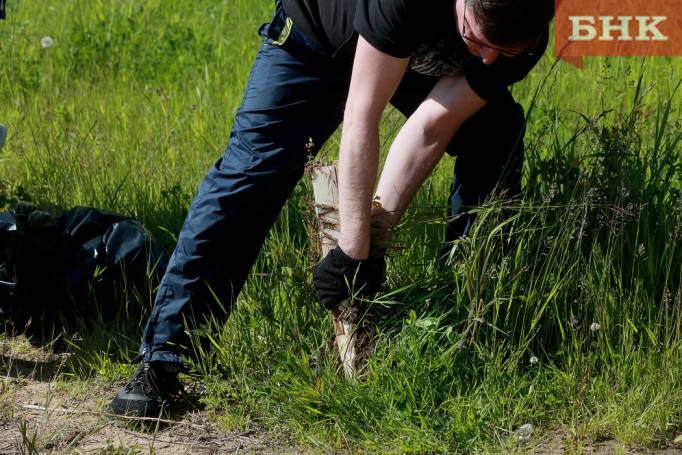 Клещи стали реже кусать жителей Коми