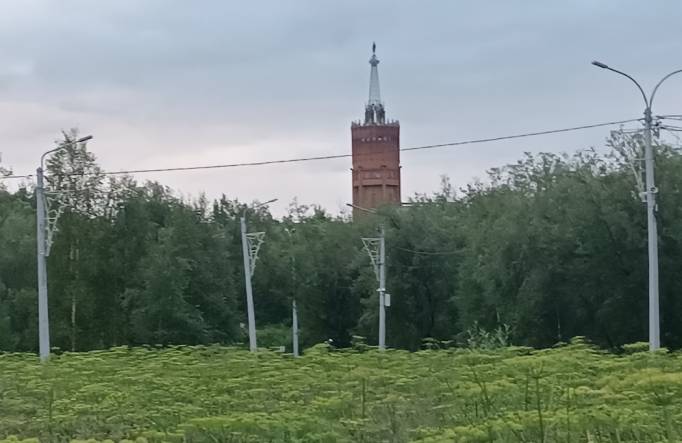 Народный корреспондент: «Парк культуры и отдыха в Инте зарос борщевиком»
