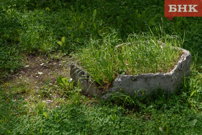 В Коми из-за укусов клещей пострадали свыше трех тысяч человек