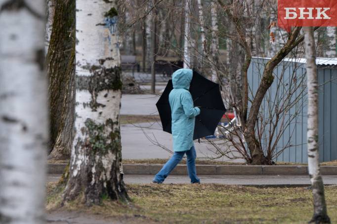 Туман, мокрый снег и ветер ожидается в Коми