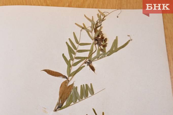 Z06_0093.jpg Z06_0093.jpg