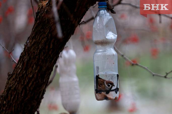 В Сыктывкаре побит температурный рекорд 1957 года