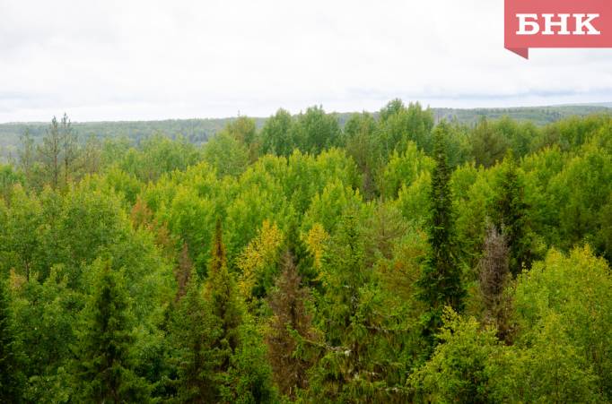 В Коми завершился пожароопасный сезон