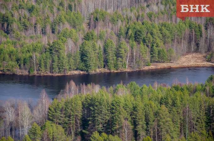 Коми подтвердила статус одного из лидеров лесного хозяйства России
