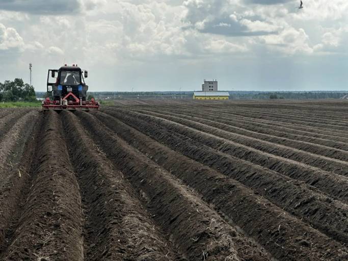 В Коми завершили посадку «борщевого набора»