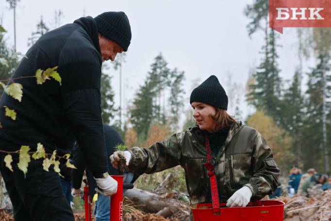 BOB_1243.jpg BOB_1243.jpg