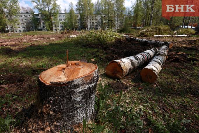 Сыктывкарцы попросили построить на пустыре сквер вместо жилого дома