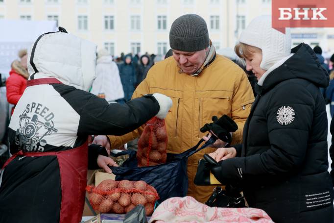 Самозанятым в Коми возместят затраты на картофель