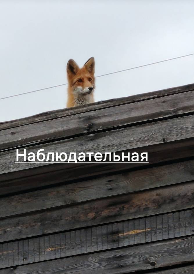 xHJADVauuVIGEk2UBOI7WHzkMbUeaNi8-ud3iaT-V6l0jqDPztnPtsXwNKHLwfeRngnOMbyuYNed6kaByHRRG5zw.jpg xHJADVauuVIGEk2UBOI7WHzkMbUeaNi8-ud3iaT-V6l0jqDPztnPtsXwNKHLwfeRngnOMbyuYNed6kaByHRRG5zw.jpg