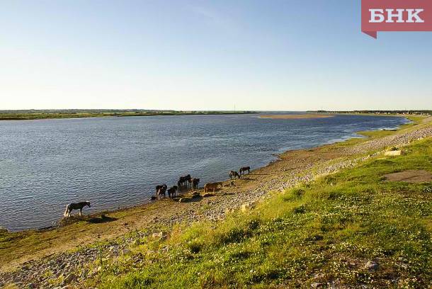 На реке Печоре вода поднимется до неблагоприятного уровня
