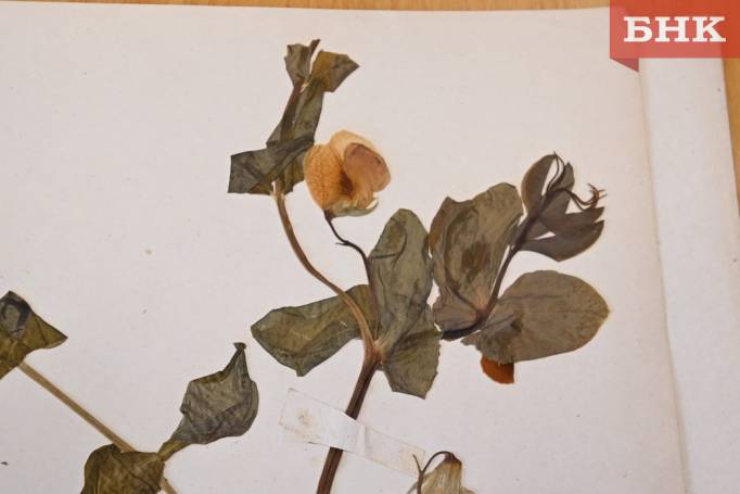 Z06_0102.jpg Z06_0102.jpg