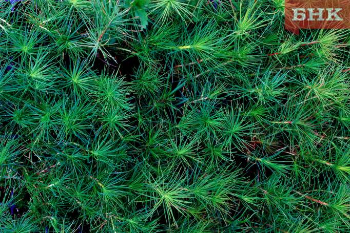 BOB_1094-1.jpg BOB_1094-1.jpg