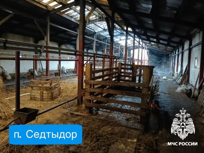 В Коми сгорели ферма и автомобиль